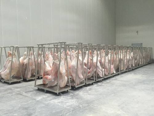 肉类速冻库